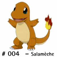 N 004               Salamèche